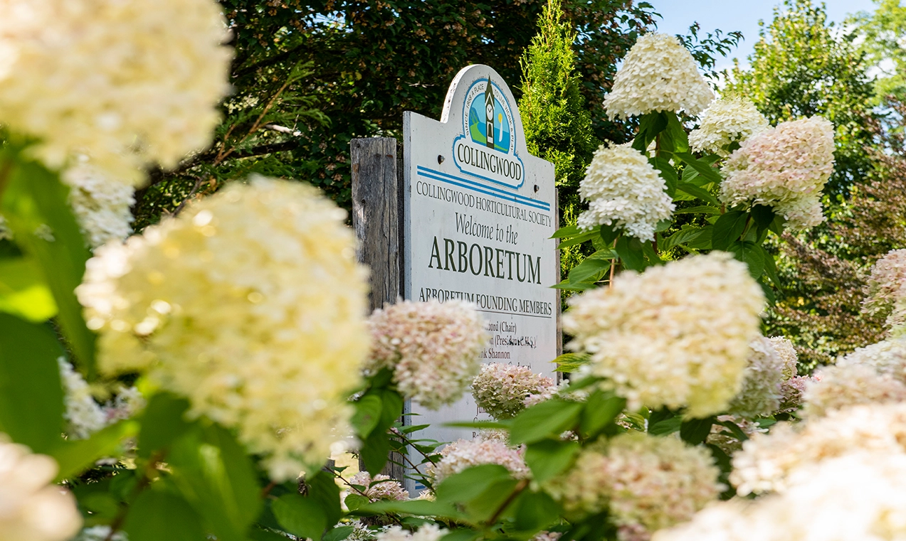 Gardens & Blooms at The Arboretum